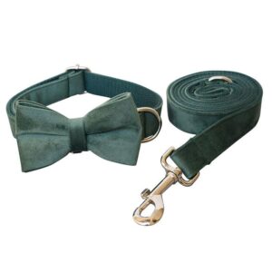 Luxurious Emerald Velvet Dog Collar And Leash Set