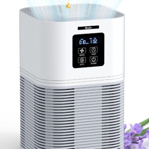 2 in 1 Air Purifier with H13 Filters for Home Allergies Pets Hair Odor Eliminators